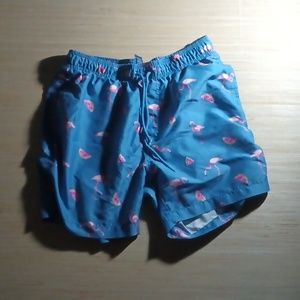 Hot Coals Flamingo shorts
